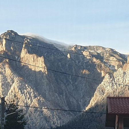 Mountain Break Azuga ski Bagian luar foto